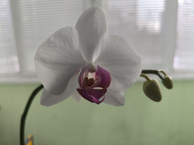 ������ ����, ��������!. 5 ������ �� ����������� ����� ���������� �������� ���