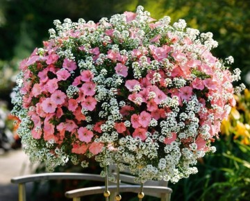 Цветочная симфония: компаньоны для петуний, которые преобразят ваш сад