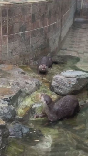 ������������ ���������� ������� � ������������ ��������