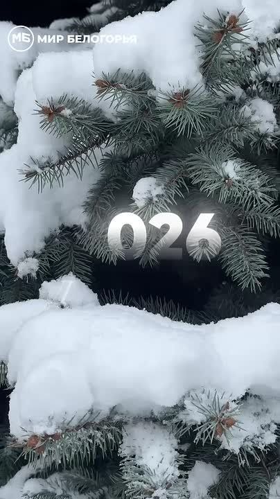 Погода 6 января. Сегодня синоптики обещают слабый снег