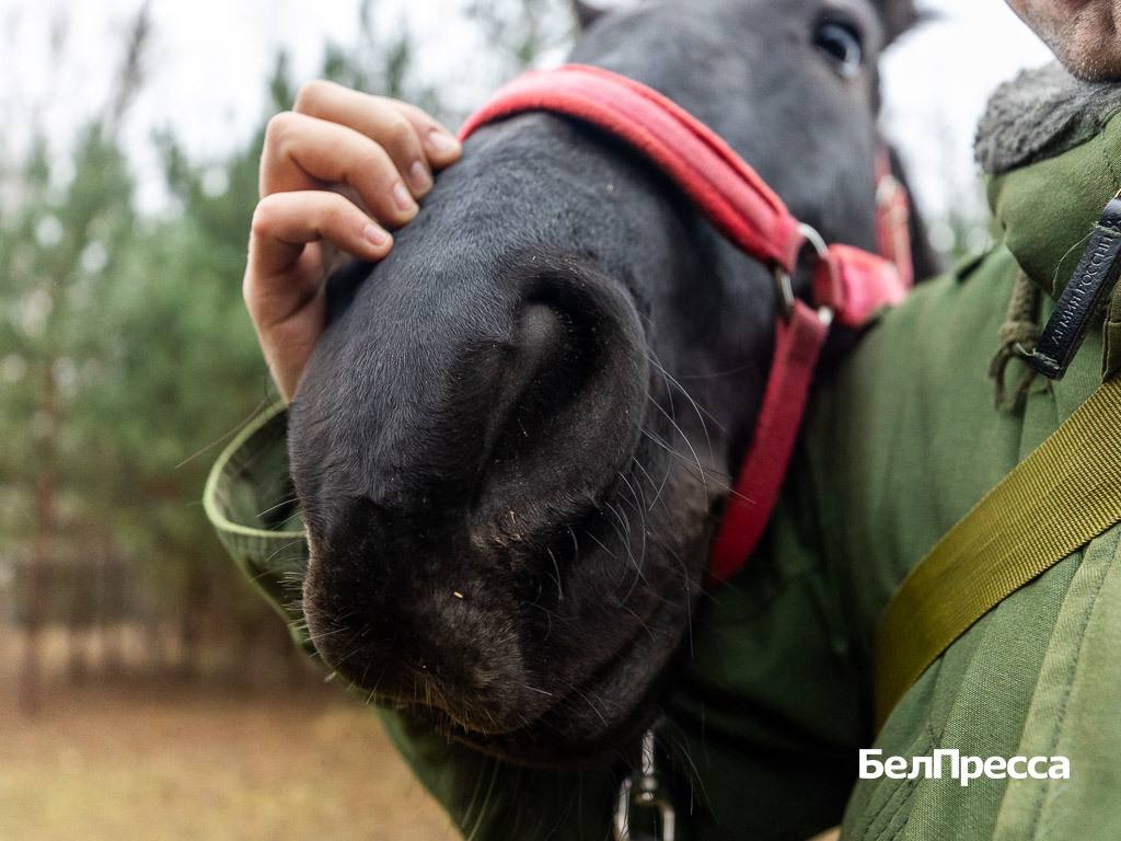 Когда речь заходит о поисках людей, многие представляют себе волонтёров с рациями, дроны или цепочку пеших групп