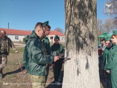 В Белгородской области растёт движение школьных лесничеств