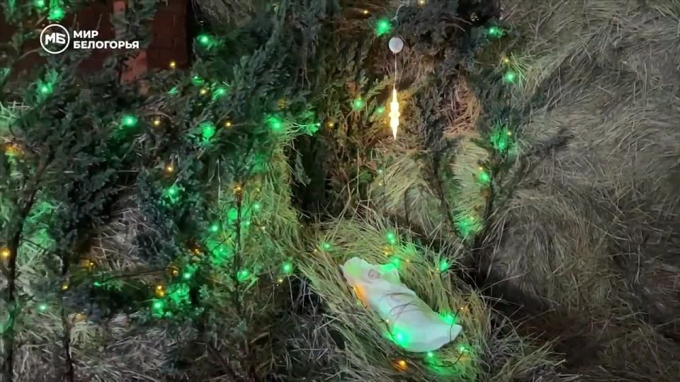 Лечение счастьем: в Белгородском округе реабилитационный центр «Благое дело» отметил Рождество