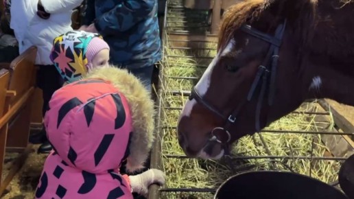 В Белгородском округе реабилитационный центр «Благое дело» отметил Рождество