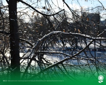 7 января. Температура воздуха 1°C, облачно, без осадков