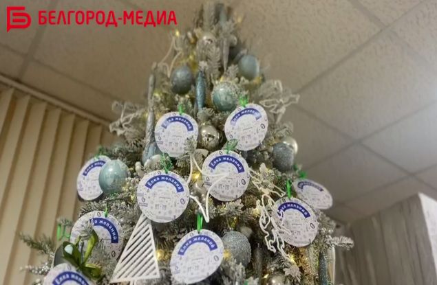 Сотрудники холдинга «Белгород-медиа» осчастливили детей перед Новым годом!