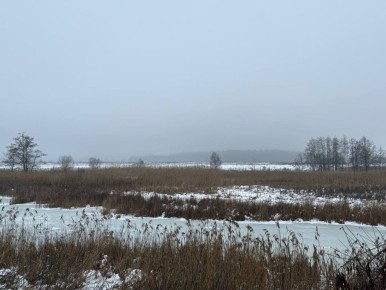 �������, 8 ������, � ��������� ��������� ������