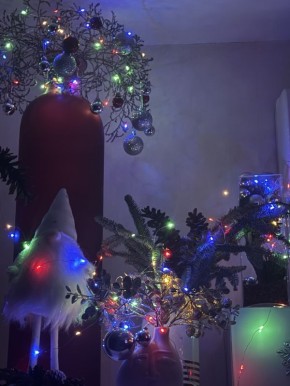 ���� ������ ���. ���������� �� ������ ���� ���� � ������� �������� ���������� ���������� ���� ������� �� ����������