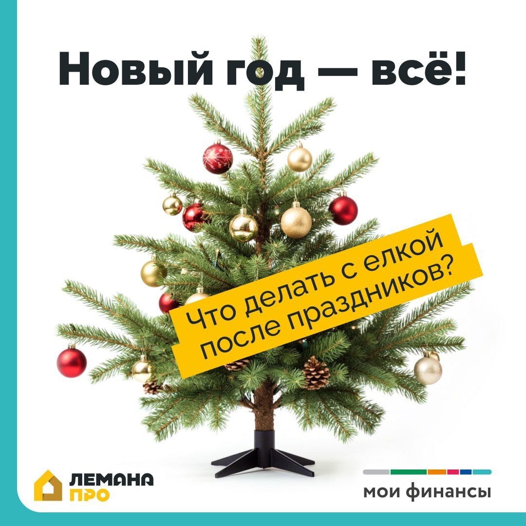 Что будете делать с ёлочкой после окончания новогодних праздников? Отнесёте на мусорку? Не торопитесь!