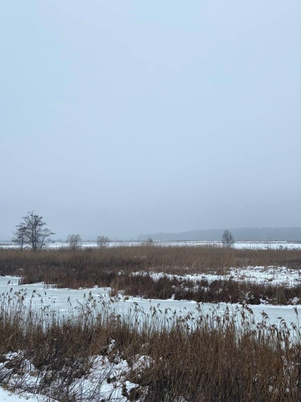 �������, 10 ������, � ��������� ��������� ����