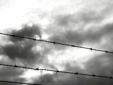 ������� �� �����: ���� ��������� � ������ �������� �������� ��-�� ���������� ������