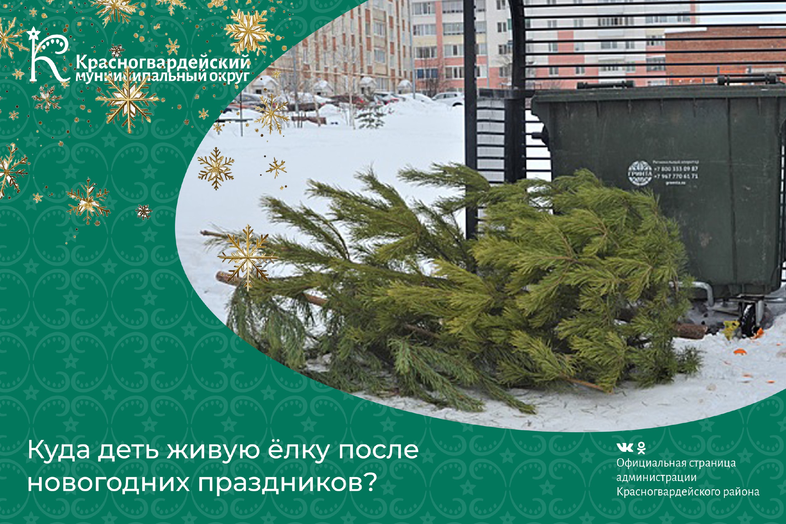 Куда деть живую ёлку после новогодних праздников?