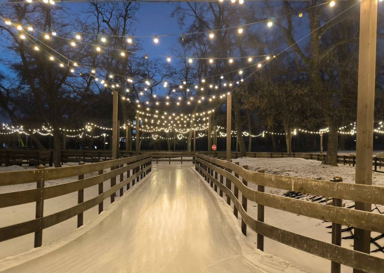 Зима вновь укутывает Белгород снежным покрывалом, и городские катки уже заработали