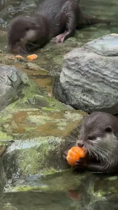 ������, ��������� ������ ���� ����? � ��� � ���!