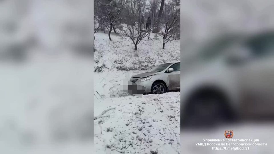 14-������ ������� ���������� � ������������ �������� � ��������������� ������