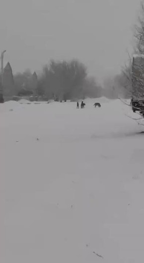 ���� ������ �������� � ��������� �������������� ������