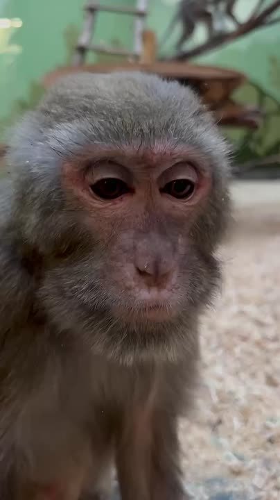 Половина первого рабочего дня в 2026 году