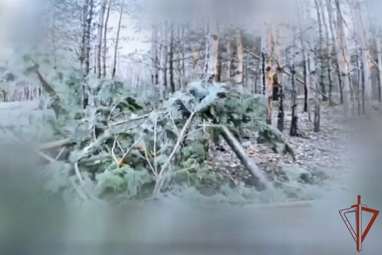 Операторы БПЛА Росгвардии уничтожили замаскированный миномёт ВСУ на харьковском направлении