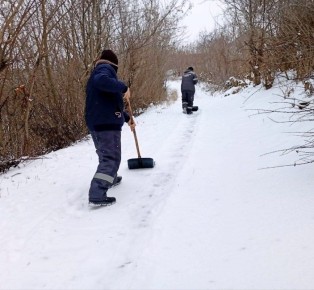 ������������ ������ �� ������� ������-�������� ���� �� ����� � ������