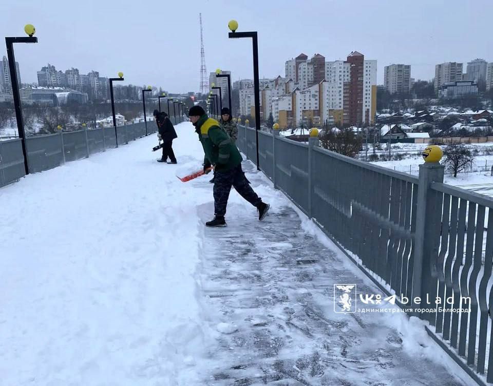 ������ ����� � ���������: ����� �� 13 ������