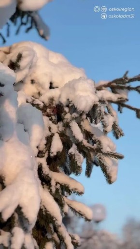 ������ ����, �������������!