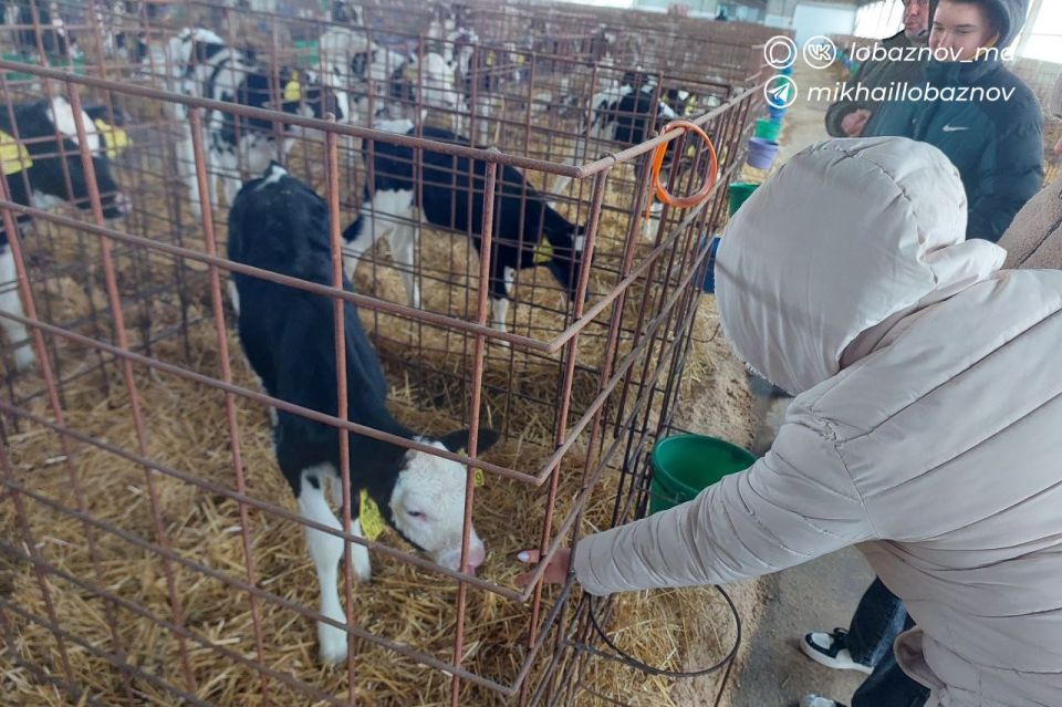 ������ ��������: � ������� ���� ������ ����� ������������� � ������� �������������������� �������, ������� ����������� ���������� �������� ������������ �������