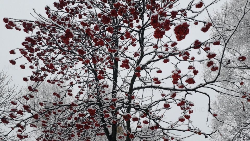 � ������� ������������ �������� ������