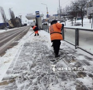 ������ ����� � ���������: ����� �� 14 ������