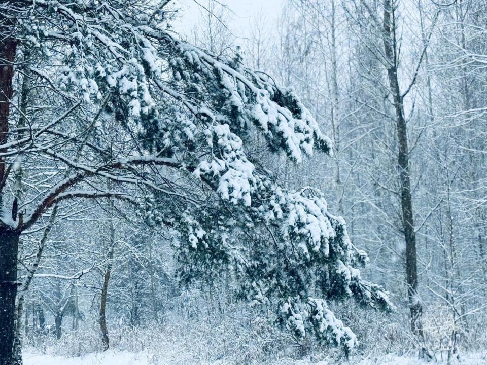 ��������� ���� ��������� � ������� � �������