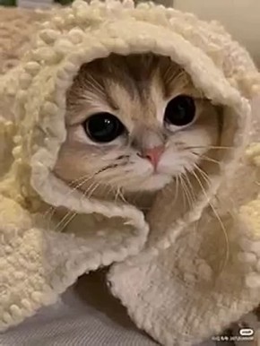 Этой ночью регион могут сковать морозы до -22°С