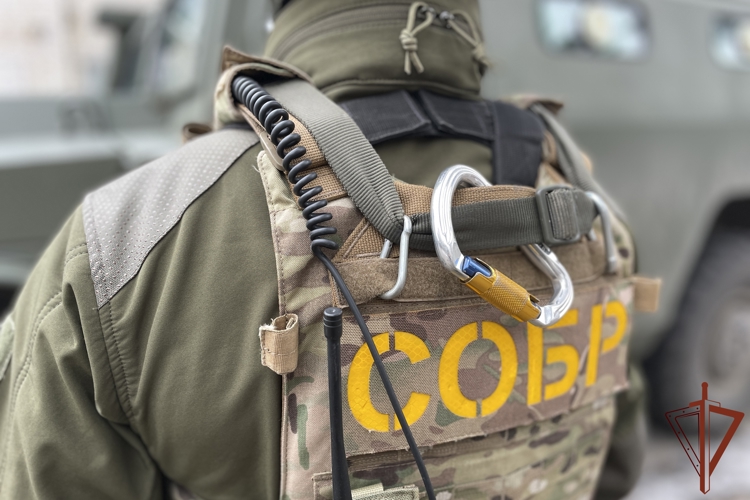 В Белгородской области при содействии спецназа Росгвардии ликвидирована сеть нелегальных узлов связи