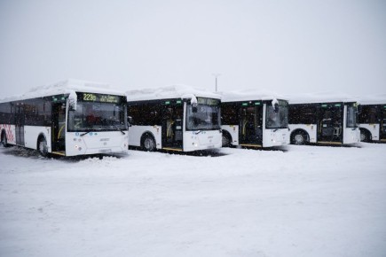 ���������� ��������� ������������ �����������: ����� ����