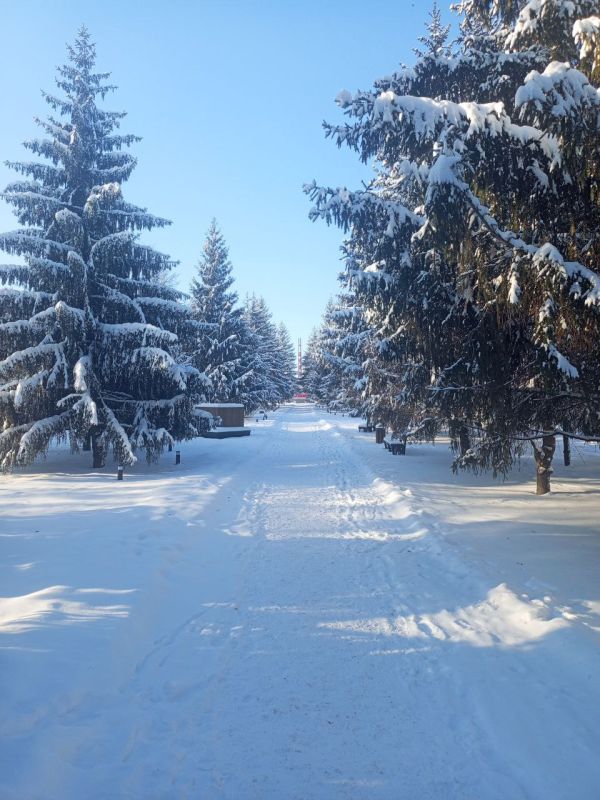 ������ 14 ������. ������� ��������� ������� ��������� ������