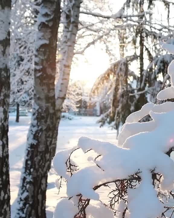 ������ ������ � ����������