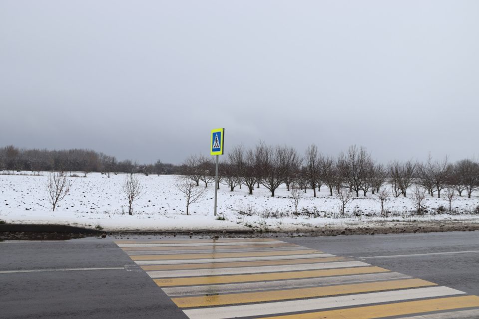 ������������ ��������� ��������: ����� ����