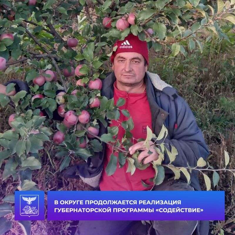 ������ �������: ��������� ������������ �� �������� �������� ���������� ��������������� ��������� �����������, ������� ��������� � ������� ��� ��������� ����������� ������������ ������� ��������� ��������