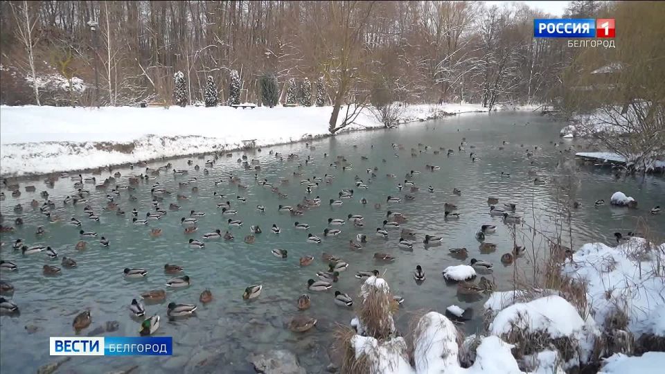 ����� ��������� ������������ ��������� ��������� ������