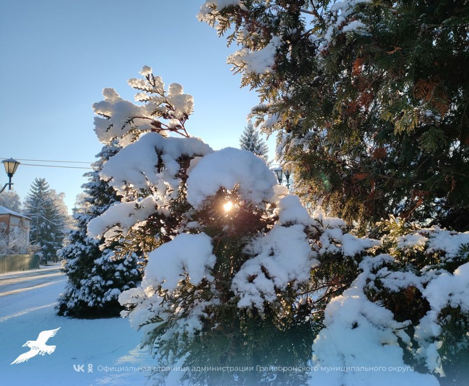 ������ ������� ������ ���� ������� � �����