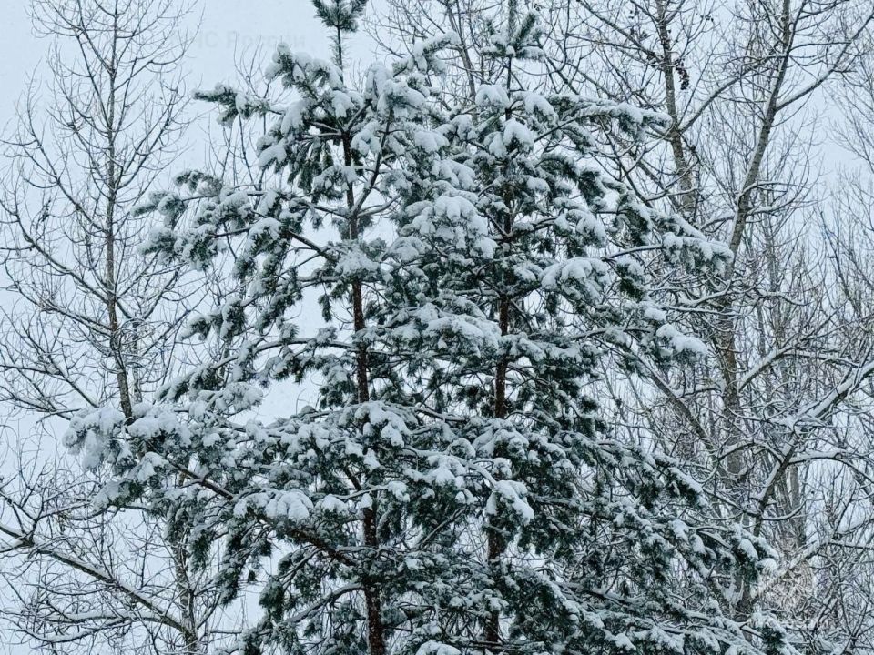 В выходные дни сохраняется морозная погода