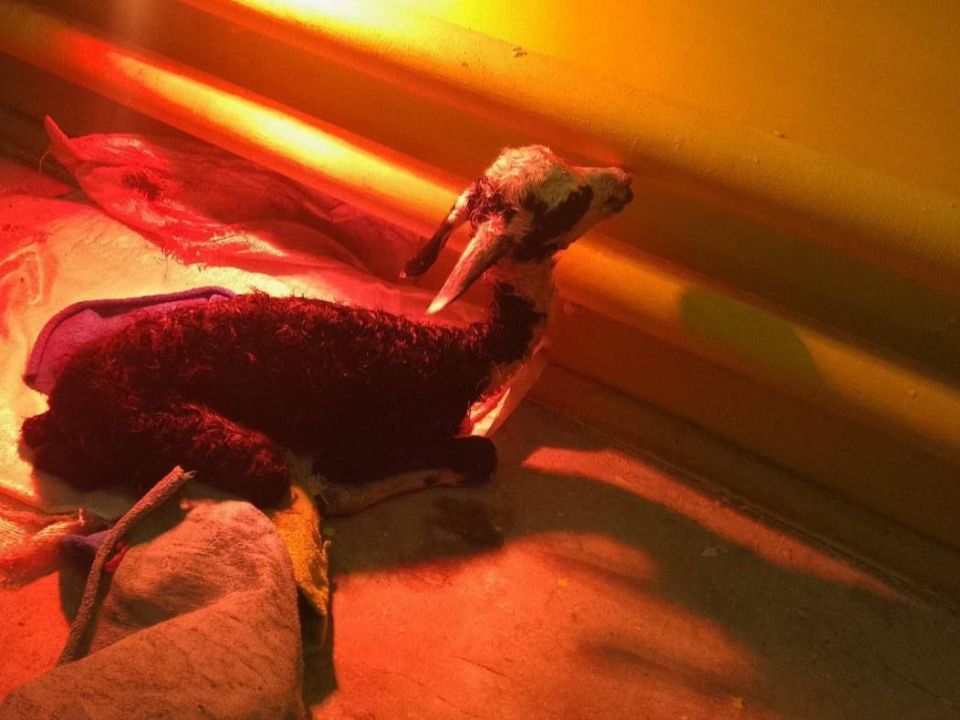 � ������������ �������� ������� ������ ����