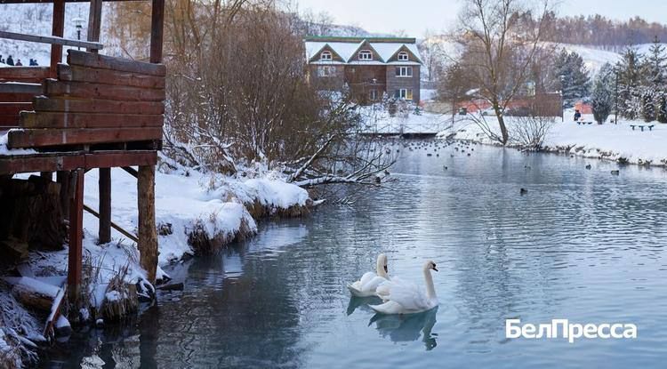 ������ �������� �� ���� � �������������� ������� � ���������� �������. ���������� ����� �������, ������� ����� �������� � ��������� �������������� �������, ������� ������ � �������� ����