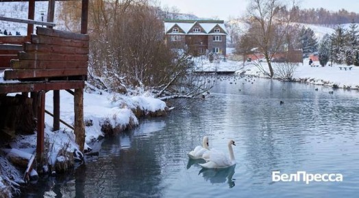 ������ �������� �� ���� � �������������� ������� � ���������� �������. ���������� ����� �������, ������� ����� �������� � ��������� �������������� �������, ������� ������ � �������� ����