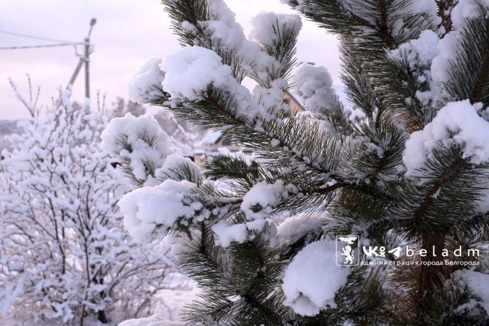 ������ ����!. ������� � ��������� ���������� ����������