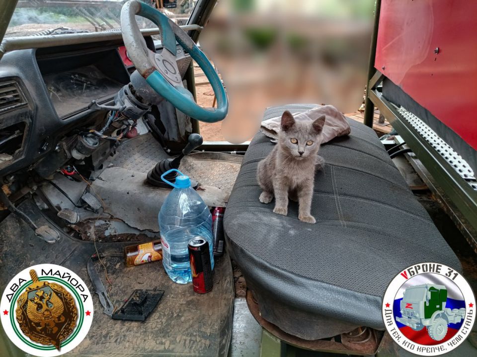 ��� ������: ��� � ���� �������� ����� ��� � ���, �� ����� ������� ������, ����������� ��������� �����