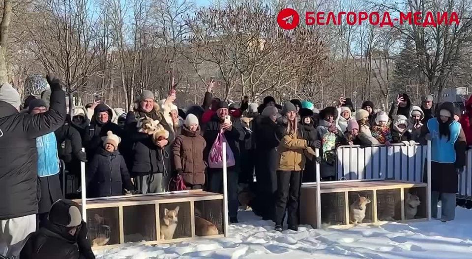 ���������: ������� ����. � ��������� ������� ��������� �������� ����� ������-Trail�