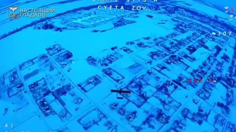 �������� �������: ���������� � ������� ���� ����� ��������� ���� �� ���������� ������������ ������� ��������������� �����-�������� � �������