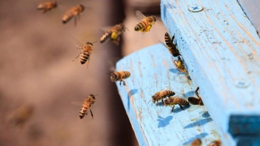 ������������ ��������� � 2025 ���� ������� 3023 ����� ���