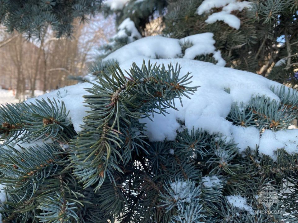 Во вторник на территории региона днём без существенных осадков