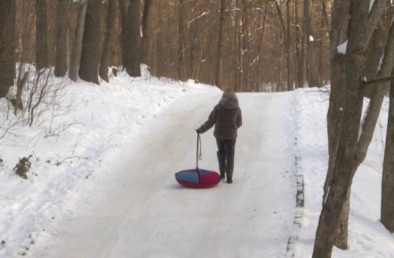 ��� ������ ������� ������������� ������