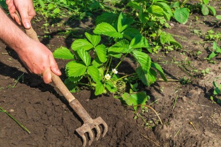 ����������� ����� ��� ���������� ������: ������� �����������